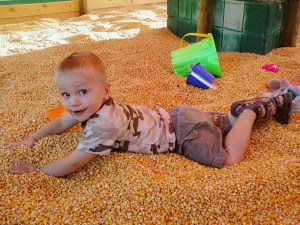 Aanders in corn crib