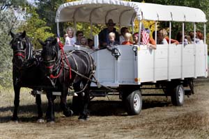Dauenhauer's hayrides