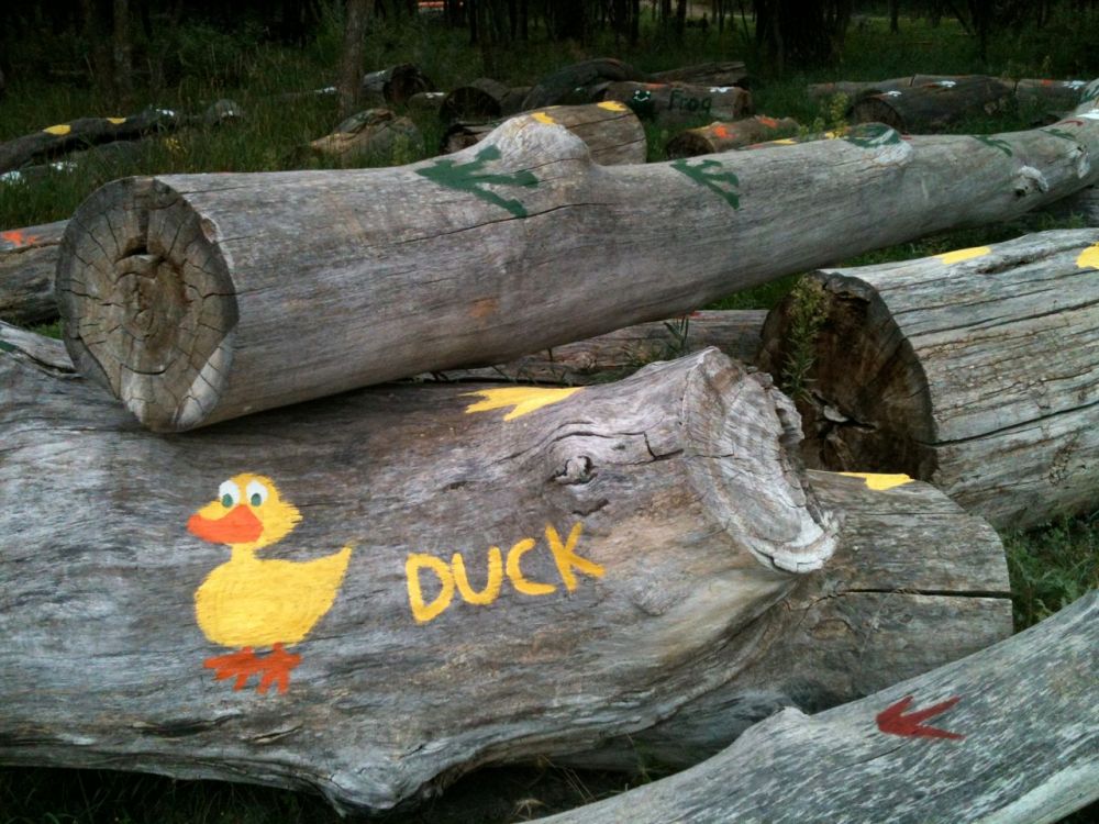 footprints on log jam0812