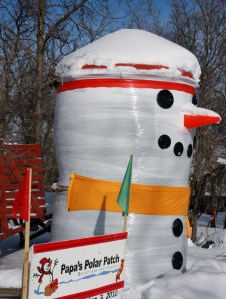 polar patch sign with frosty