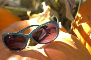 sunglasses and pumpkins