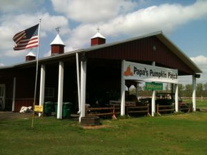 flag in breeze at morton