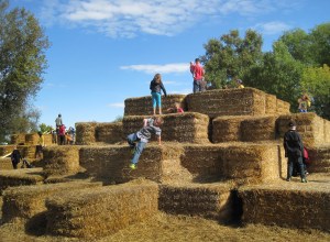 fun on castle of caves