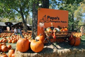 Papa's sign by big tree