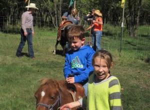 2013 pony rides