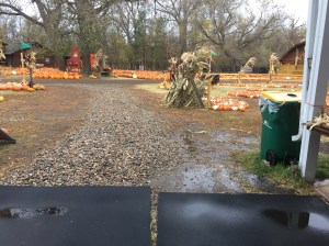 wet Saturday morning - 1