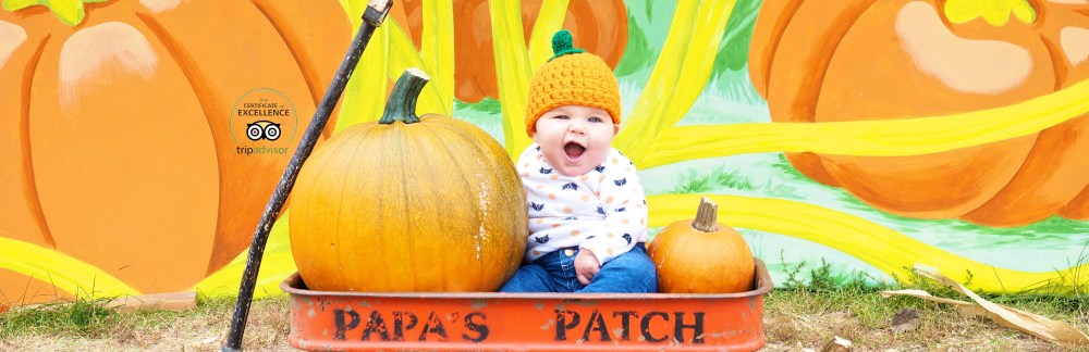 audrey in wagon Trip advisor cert