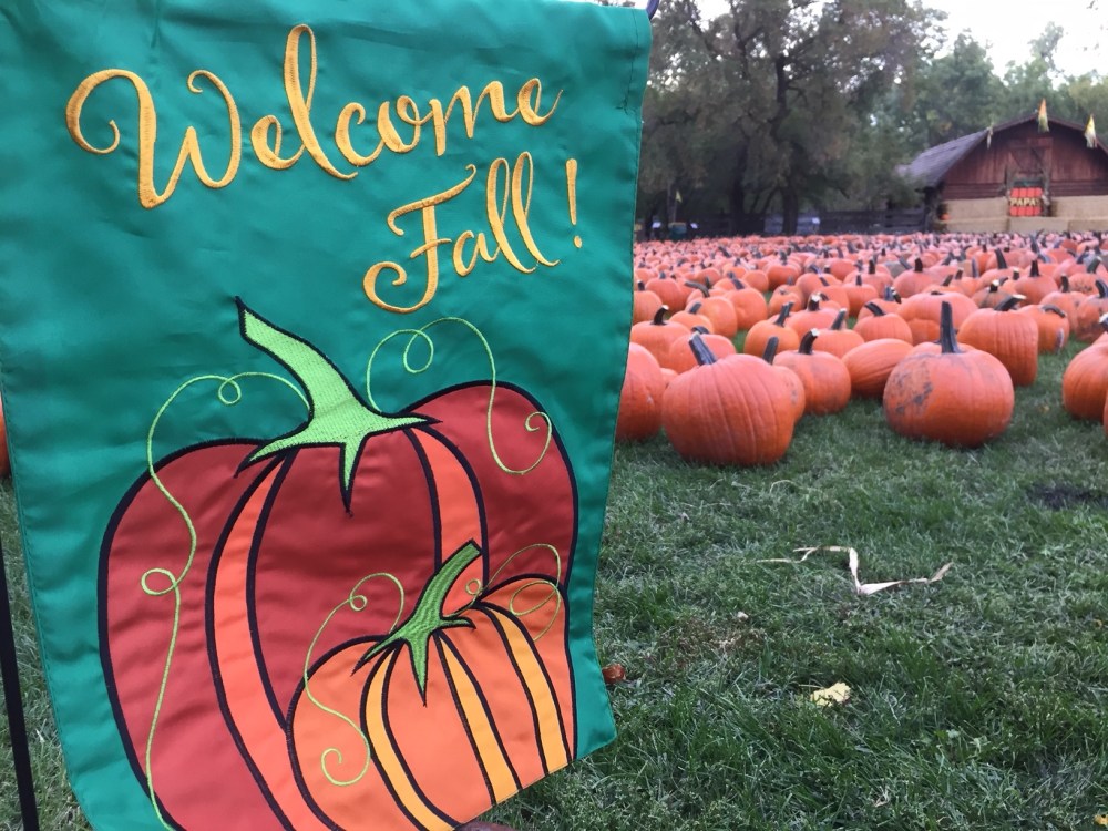 welcome fall and sea of orange